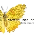 matthew shipp trio (michael bisio - whit dickey) - elastic aspects