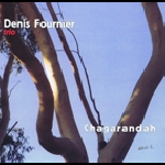 denis fournier trio (garcin - santacruz) - chagarandah