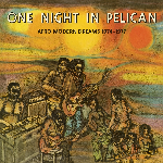 V/A - One Night in Pelican - Afro Modern Dreams 1974-1977