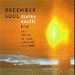 zlatko kaucic - december soul