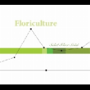 carl maguire's floriculture - sided silver solid