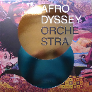 Afrodyssey Orchestra - Under the Sun