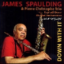 james spaulding - down with it