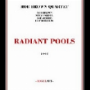rob brown quartet - radiant pools