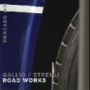beat streuli - christoph gallio - road works 