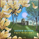 Andrew Wasylyk - Balgay Hill: Morning In Magnolia (yellow vinyl)