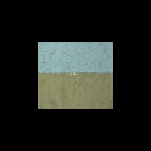 Takumi Seino - Hugues Vincent – Last Tree