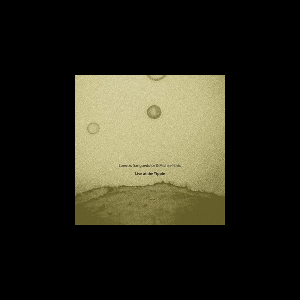 Lorenzo Sanguedolce & Michael Bisio – Live At The Yippie