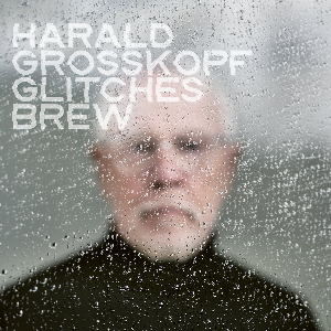 Harald Grosskopf – Glitches Brew