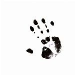 Conrad Schnitzler – Con 84