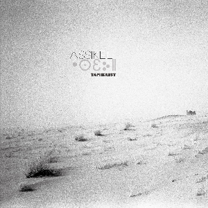Tamikrest – Assikel