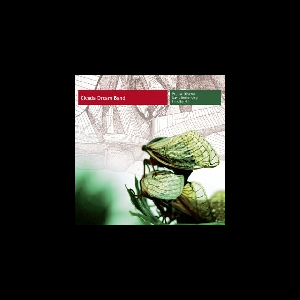 Pauline Oliveros - David Rothenberg - Timothy Hill – Cicada Dream Band