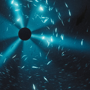 Laurel Halo – Midnight Zone (Original Soundtrack To The Film By Julian Charrière)