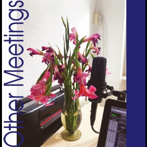 Crys Cole – Other Meetings