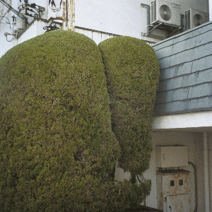 Marja Ahti & John Mccowen – Errands