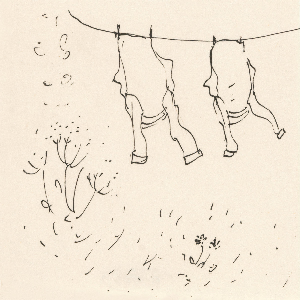 Annie A – The Wind That Had Not Touched Land