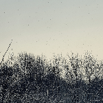 Geins't Naït & Scanner – Gn / Scanner