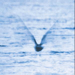 Ryo Fukui – Mellow Dream
