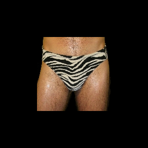 Hunx And His Punx – Gay Singles