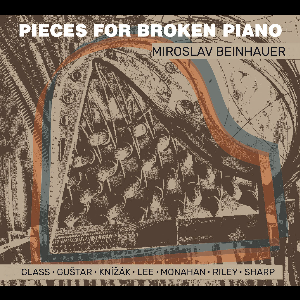 Miroslav Beinhauer Performing Terry Riley, Philip Glass, Milan Knízak, Gordon Monahan... – Pieces For Broken Piano
