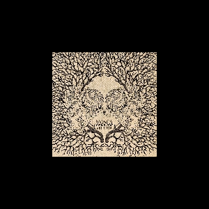 Les Yeux De La Tête – Mosca Violenta