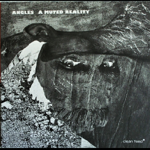 Angles – A Muted Reality