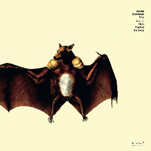 Jonas Cambien Trio – Nature Hath Painted The Body