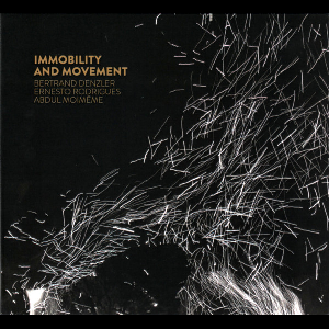 Bertrand Denzler - Ernesto Rodrigues - Abdul Moimême – Immobility And Movement