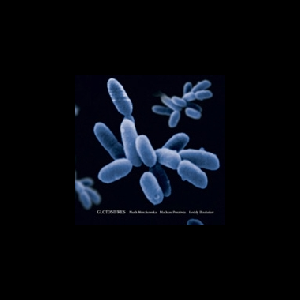 Werchowska - Pontevia - Boubaker – Glotosifres