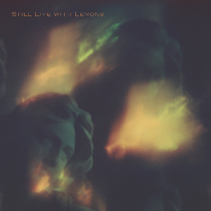 Marta Warelis – Still Life With Lemons (Ben Lamar Gay)