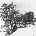 Alexandra Grimal – Refuge