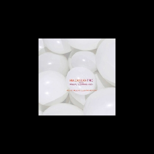 Mia Zabelka Trio (Pavel Fajt - Johannes Frisch) – Weird Tales & Elegant Motion