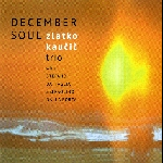 Zlatko Kaucic – December Soul