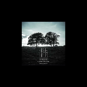 Hugues Vincent - Vladimir Kudryavtsev - Maria Logofet – Free Trees