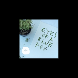Eyes Of A Blue Dog – Rise