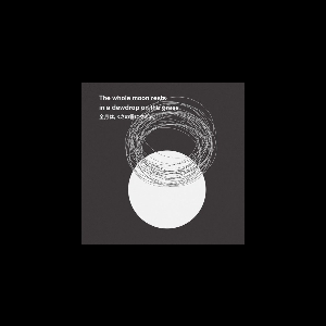 Ken Ikeda / Eddie Prévost – The Whole Moon Rests In A Dewdrop On The Grass