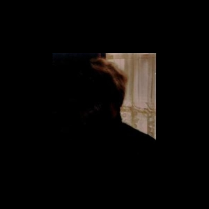 Palace Brothers – Days In The Wake
