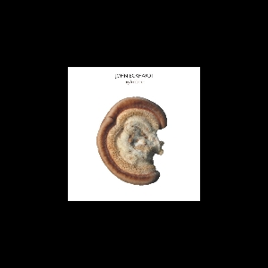 John Eckhardt – Xylobiont