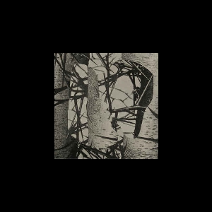 Femme – Chroma
