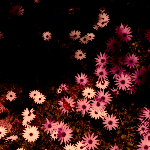 Rat Columns – Babydoll (Lp+7")