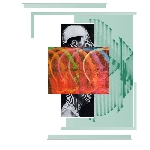 Terrine – Cheat Days