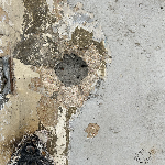 Fadi Tabbal – I Recognize You From My Sketches