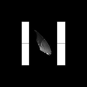 Oto Hiax (Mark Clifford & Scott Gordon) – Two
