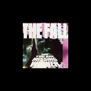 The Fall – Are You Are Missing Winner