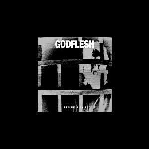 Godflesh – Decline & Fall