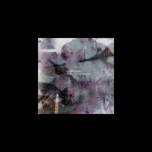 Cuong Vu - Richard Karpen – Indigo Mist