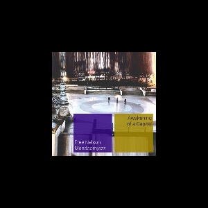 Free Nelson Mandoomjazz – Awakening Of A Capital