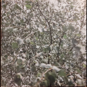 Jacques Demierre – The Hills Shout