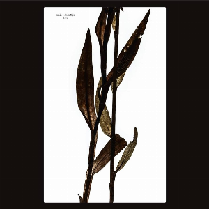 Maja S. K. Ratkje – Sult (Ltd. White)