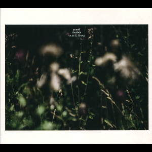 Anneli Drecker – Rocks & Straws